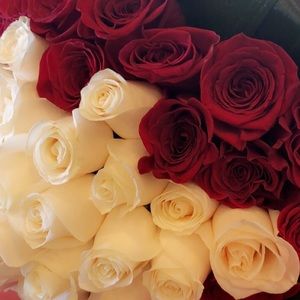 Meet your Posher, Viviana